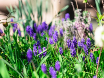Gartentag-3091-scaled-e1746621825325
