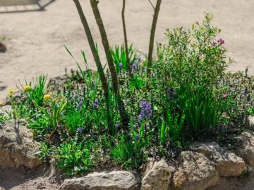 Gartentag-3131-scaled-e1746622135952