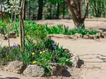 Gartentag-3132-scaled-e1746622152776