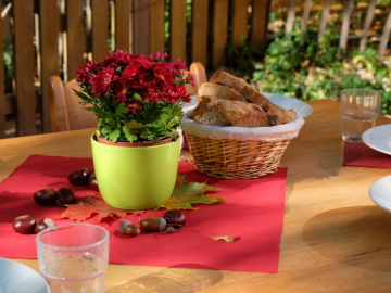 2688bb00-5cda-44d4-926c-502bd1b70977