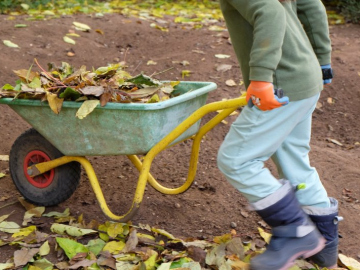 4d632465-944d-4cd4-8e50-583152433ee5