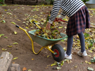 8a140ed6-8e91-4082-98c5-406255b4bffa