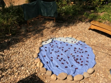 P1067196