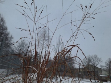 Winterlandschaft